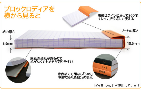 ブロックロディアを横から見ると