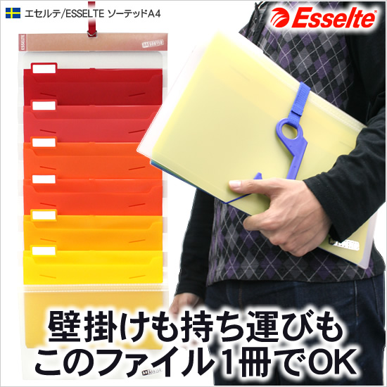 壁掛けも持ち運びもこのファイル1冊でOK エセルテ/ESSELTE ソーテッドA4