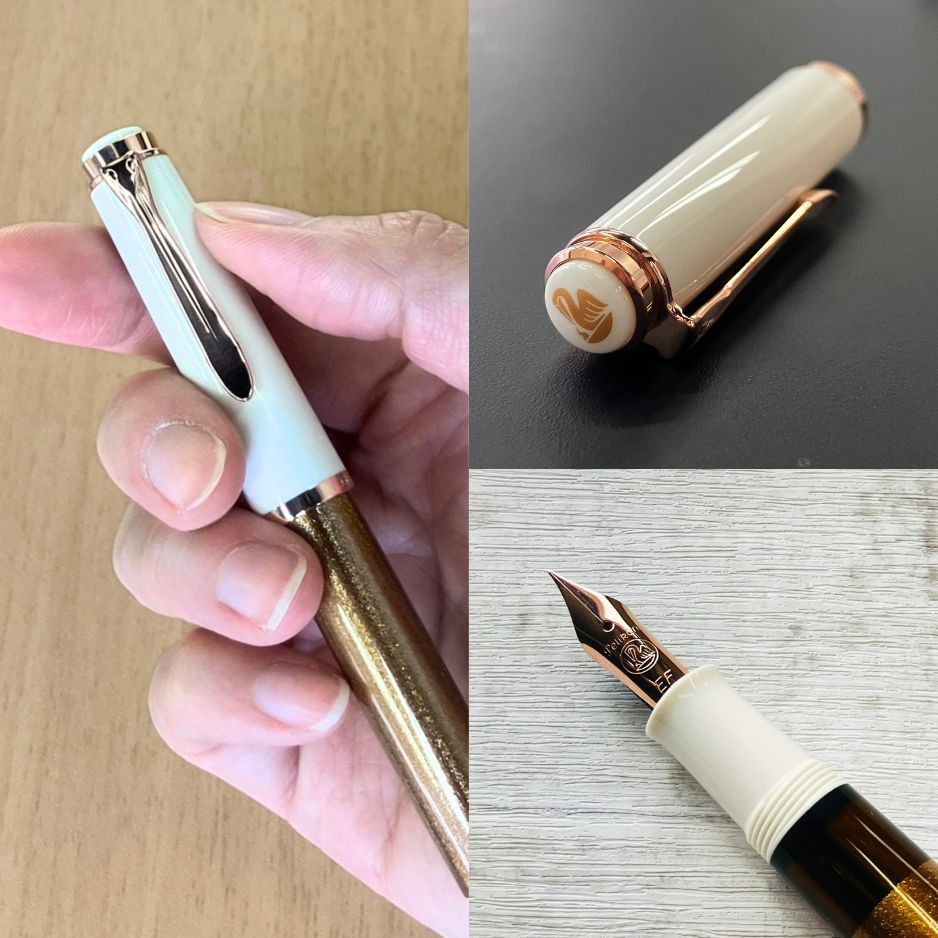 中古)Pelikan ペリカン 万年筆 スペシャルエディション