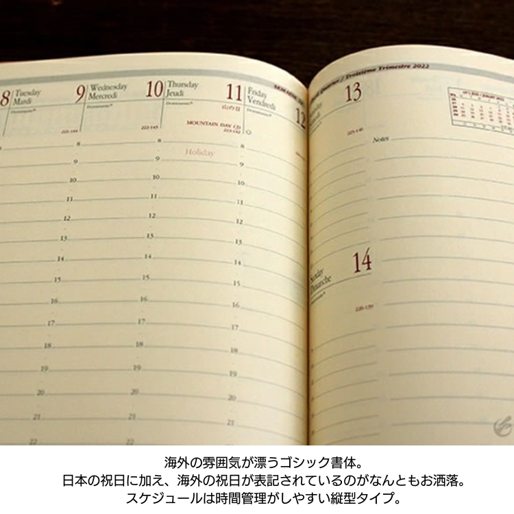 時間の熟達 英語 foil 4枚 マジック：ザ・ギャザリング