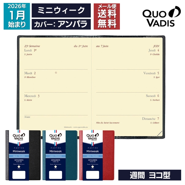 <b>■ミニウィークの特徴</b>小さなクオバディス。