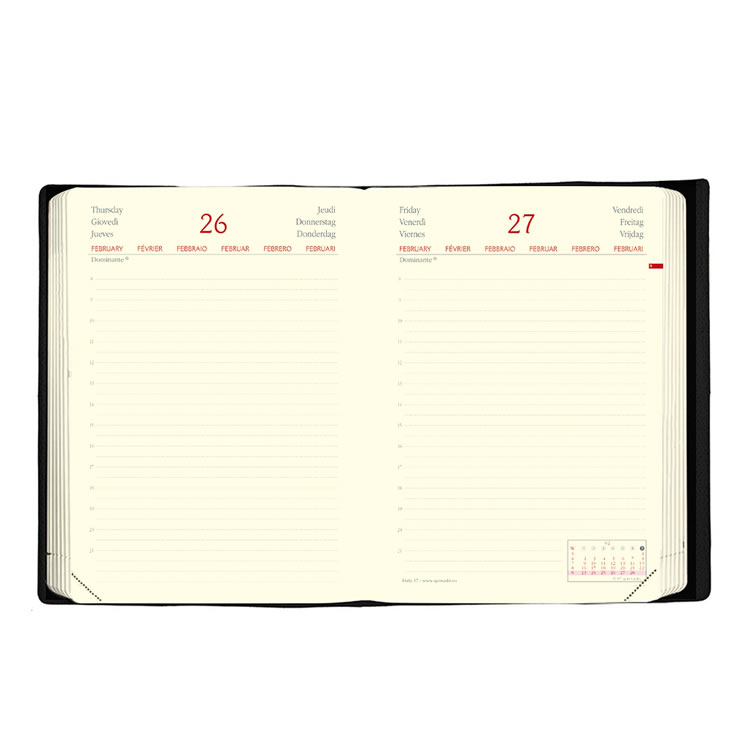 書き込みスペースがたっぷりの１日１ページ日々のタスク管理はもちろんのこと、日記帳としても活用できます。