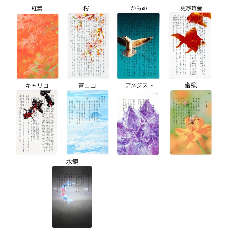 moments 透明写真栞 モーメンツ ブックマーカー 通販 文房具の和気文具