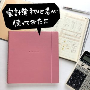 【書き方】家計簿初心者が人気の家計簿を使ってみたら意外なことが分かった